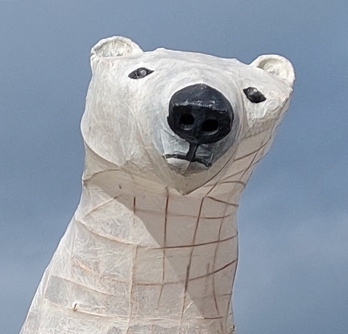 Clarion_the_bear tweet media