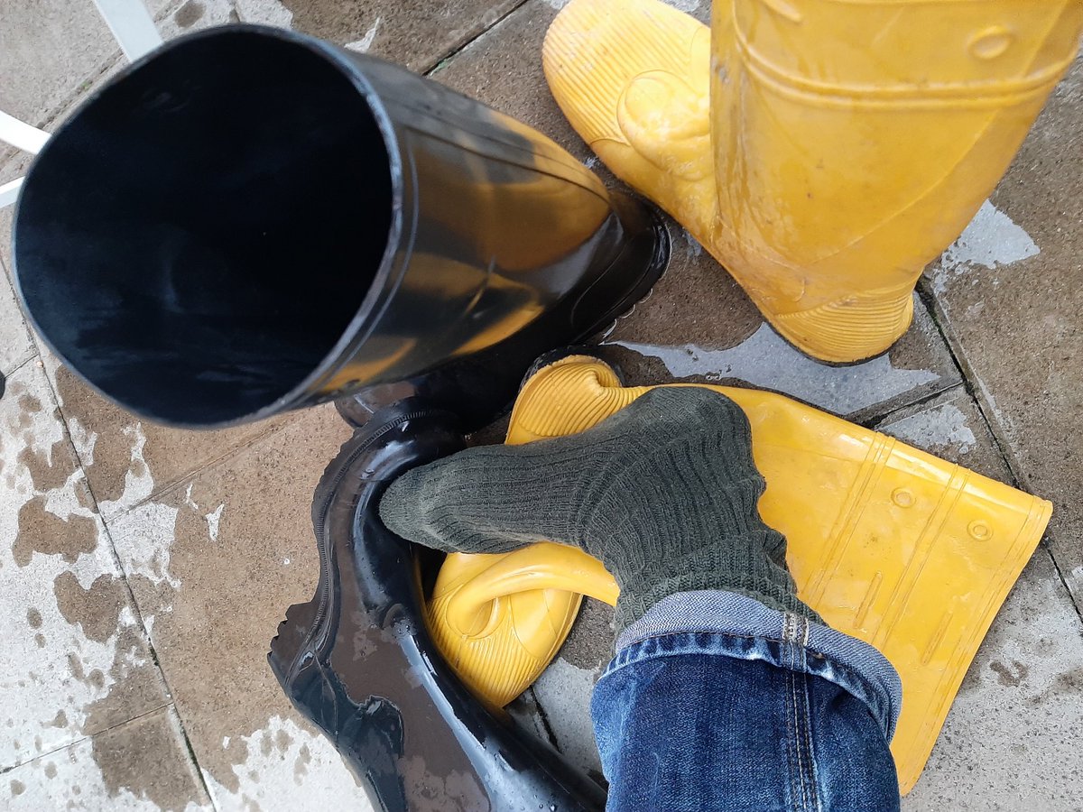 Oswald Bukowsky tweet media