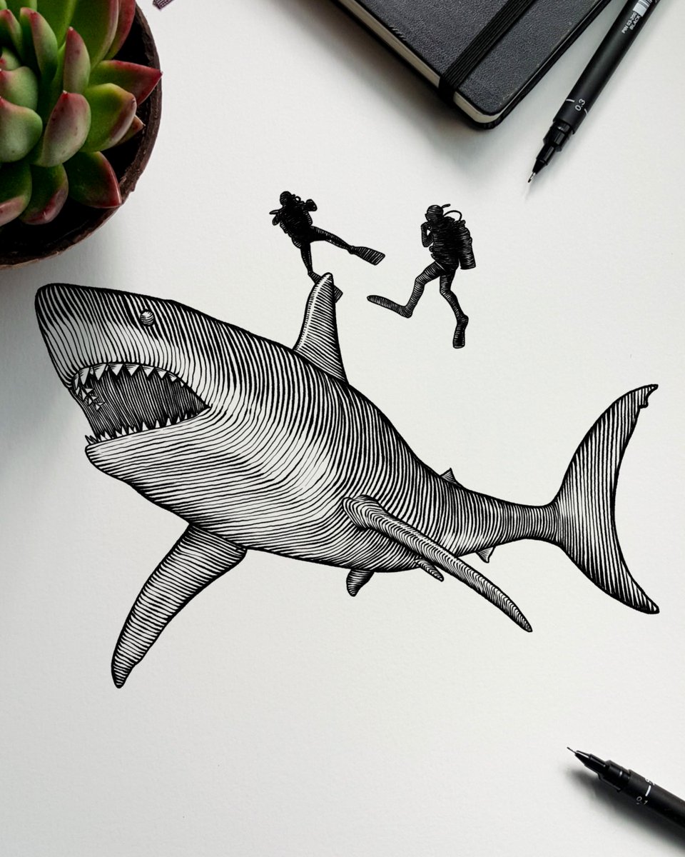 DΔNI TØRRES tweet media