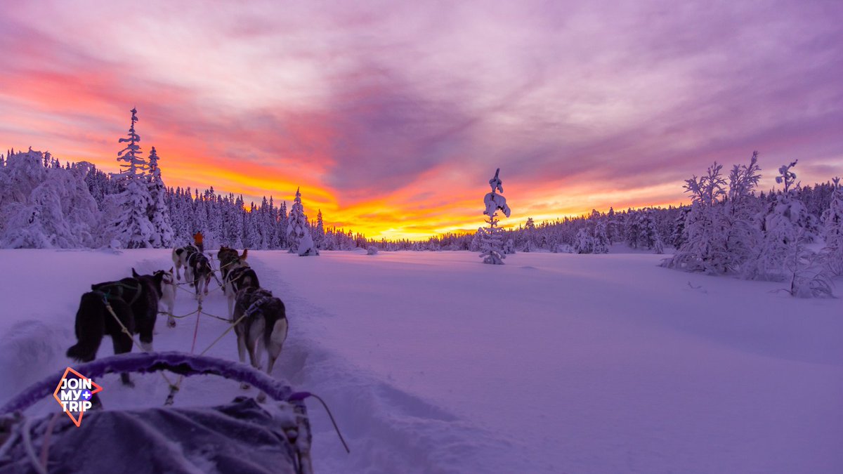 joinmytrip's tweet photo. One of the most unique and unforgettable experiences you can't miss in Sweden!❄️🐕🛷 #joinmytopic #sweden #bucketlist #husky #snow #adventure #outdoors https://t.co/Pc1J1va2Q5