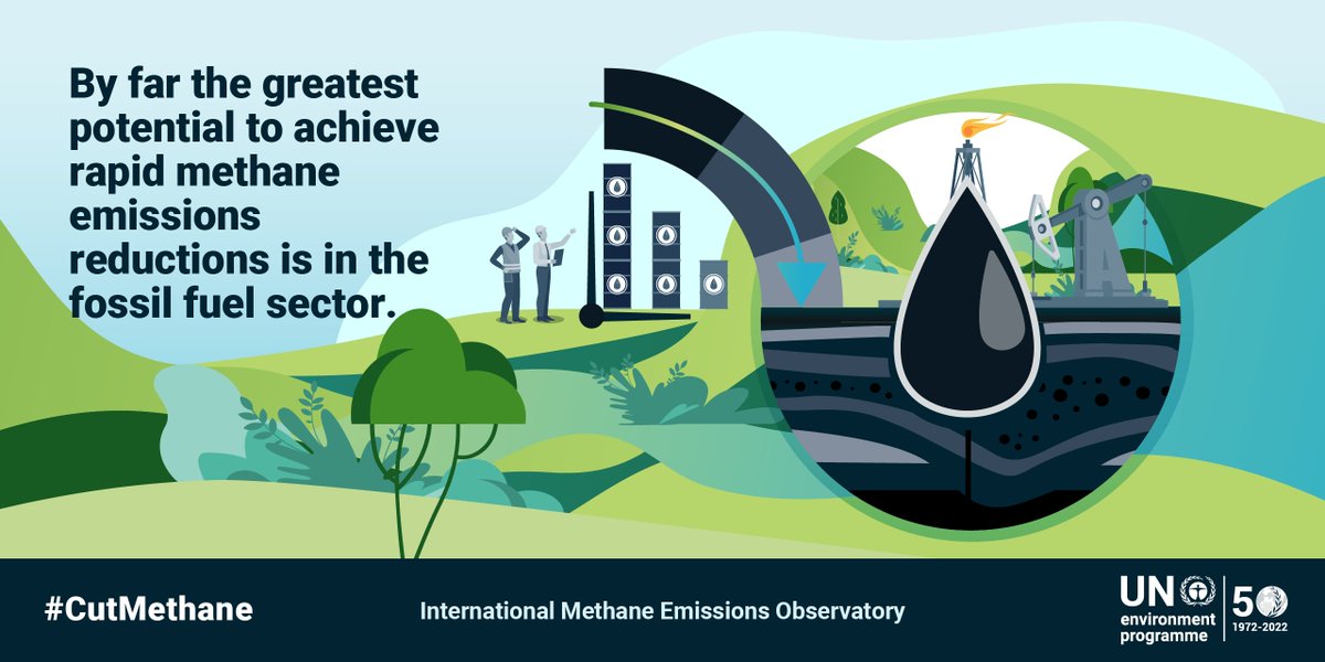 UN Environment Programme tweet media