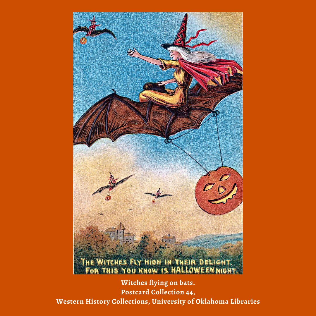 OU_Libraries's tweet photo. 🦇🎃 The Witches Fly High In Their Delight, For This You Know is Hallowe'en Night. Happy #Halloween from #OUWHC! #Archives https://t.co/kSTCb5o7QH 🎃🦇 https://t.co/UQ1bDZeg9P