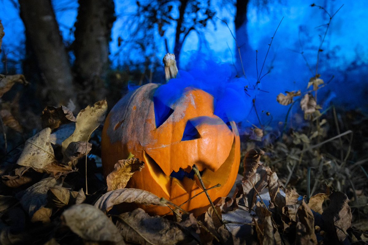 #Happy #Halloween