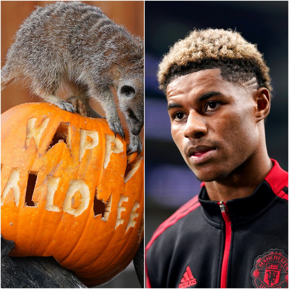 Happy Halloween and Marcus Rashford s birthday Sunday s sporting social  