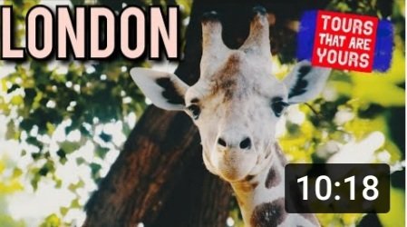 toursthatryours's tweet photo. 🛑NEW VIDEO ALERT🛑
https://t.co/To0RKQWMd7
#regentspark #londonzoo #animalsoflondon #giraffe #londonlions #lion #zebra #wherethewildthingsare #londononthecheap #cheaplondon #londonthingstosee #londonthingstodo #londonwalk #londontips #londonvlogger #londonvlog #winniethepooh https://t.co/SAX5MO6NeD