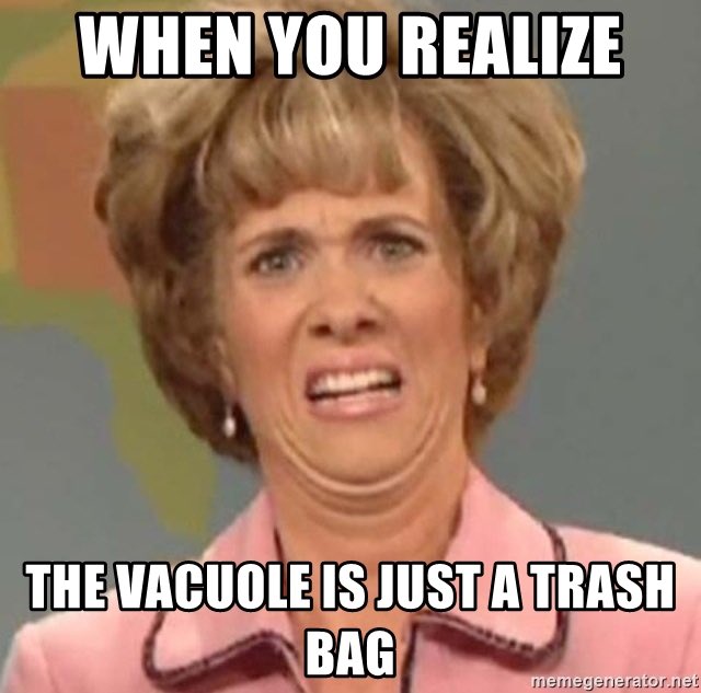 thecelldepot_'s tweet photo. WE ARE SO MUCH MORE!!! We store food, water and other important substances for plant life. So vote for the central vacuole on Tuesday!! #votecentralvacuole https://t.co/7STkkZj4ln