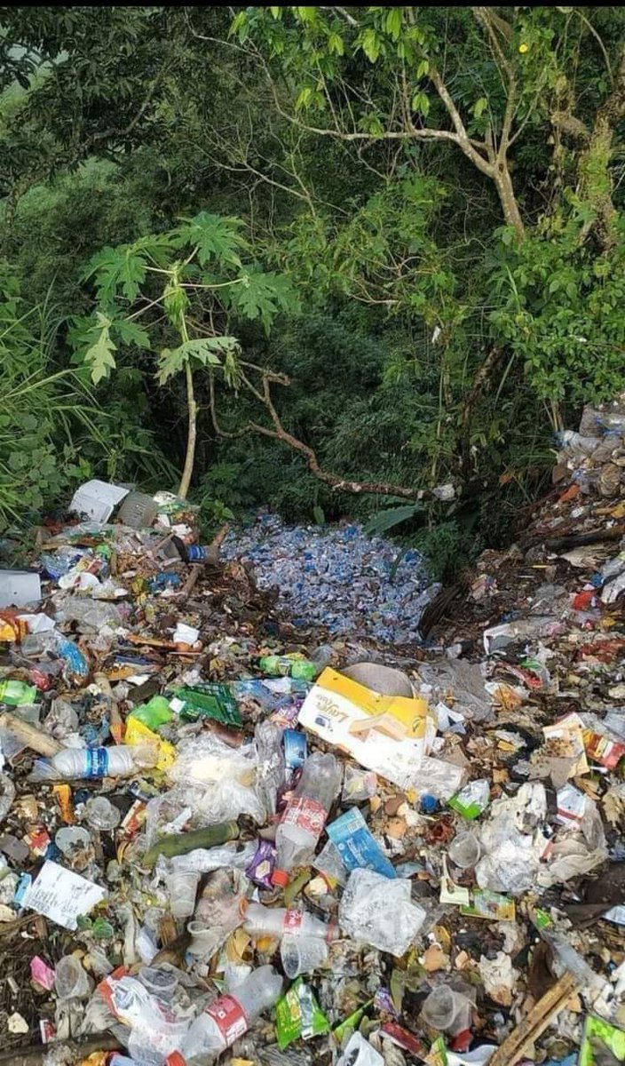 wewantgreen's tweet image. Plastic Pollution 
#HumanMistake