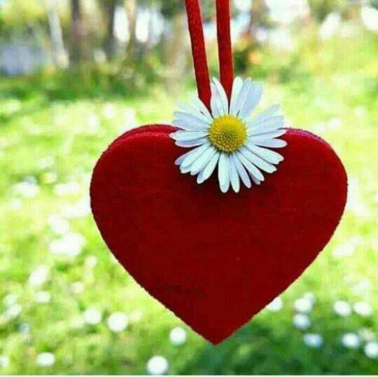 لا شيء يعادل النية الصادقة
افعل ما تشاء و أتركهم يفهمونك كما يريدون ."❣️