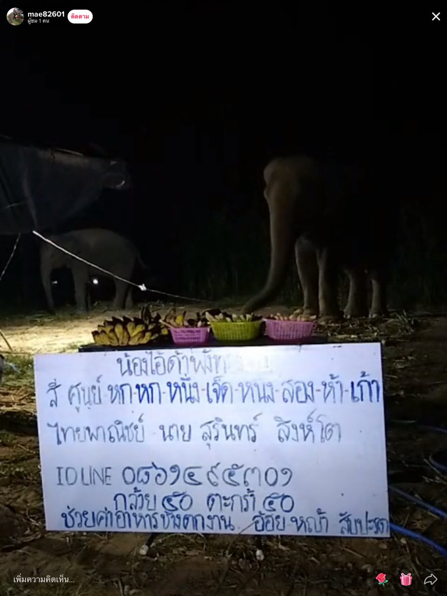 nachoi tweet media