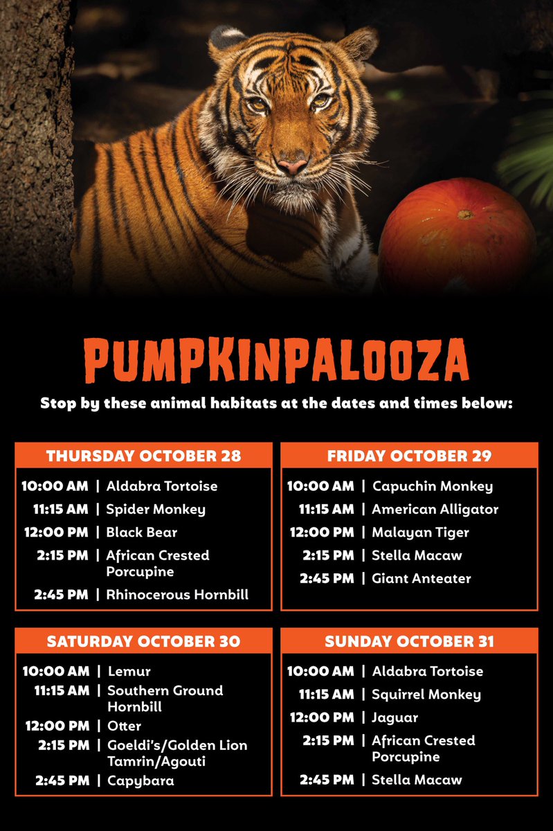 PalmBeachZoo's tweet photo. Itโs the last day of Pumpkinpalooza! Check out the schedule and keep it handy during your Zoo adventure. #palmbeachzoo #lovefl #visitwpb #halloween #thepalmbeaches https://t.co/mUA9yVE9cR