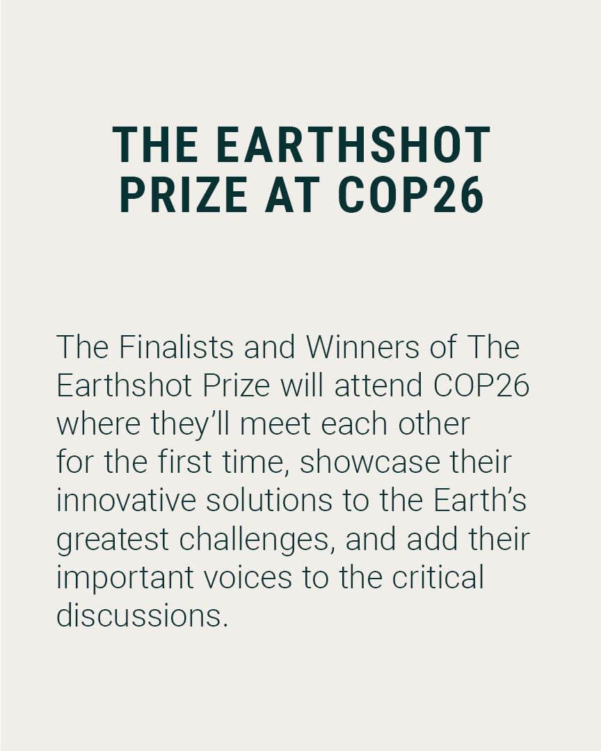 EarthshotPrize's tweet photo. The extraordinary Winners and Finalists of the first-ever Earthshot Prize will meet for the first time at #COP26. Here’s why ✨

#EarthshotPrize #TogetherForOurPlanet https://t.co/DGAxPW2bAH