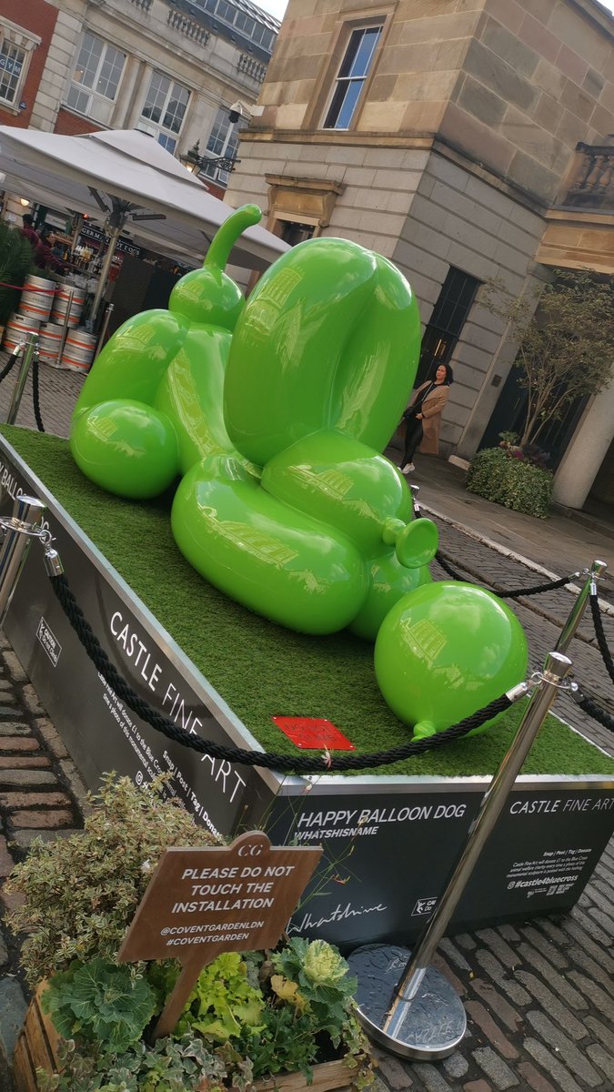 Robert Green tweet media