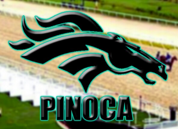 pinocahipico's tweet photo. Buen día Pinoqueros llegó  el día del  #ClásicoSimónBolívar.
Les dejo tres inf abiertas con buena vibra para q liguems
1)#Villacurana Abran Fuego
3)#Pantallera reaparece en gran forma y en un grupo discreto
9)#Pikolino su atropellada será imparable
Dale Rtw
Contacto
0426 357 5409 https://t.co/ZsB1TDqrLN