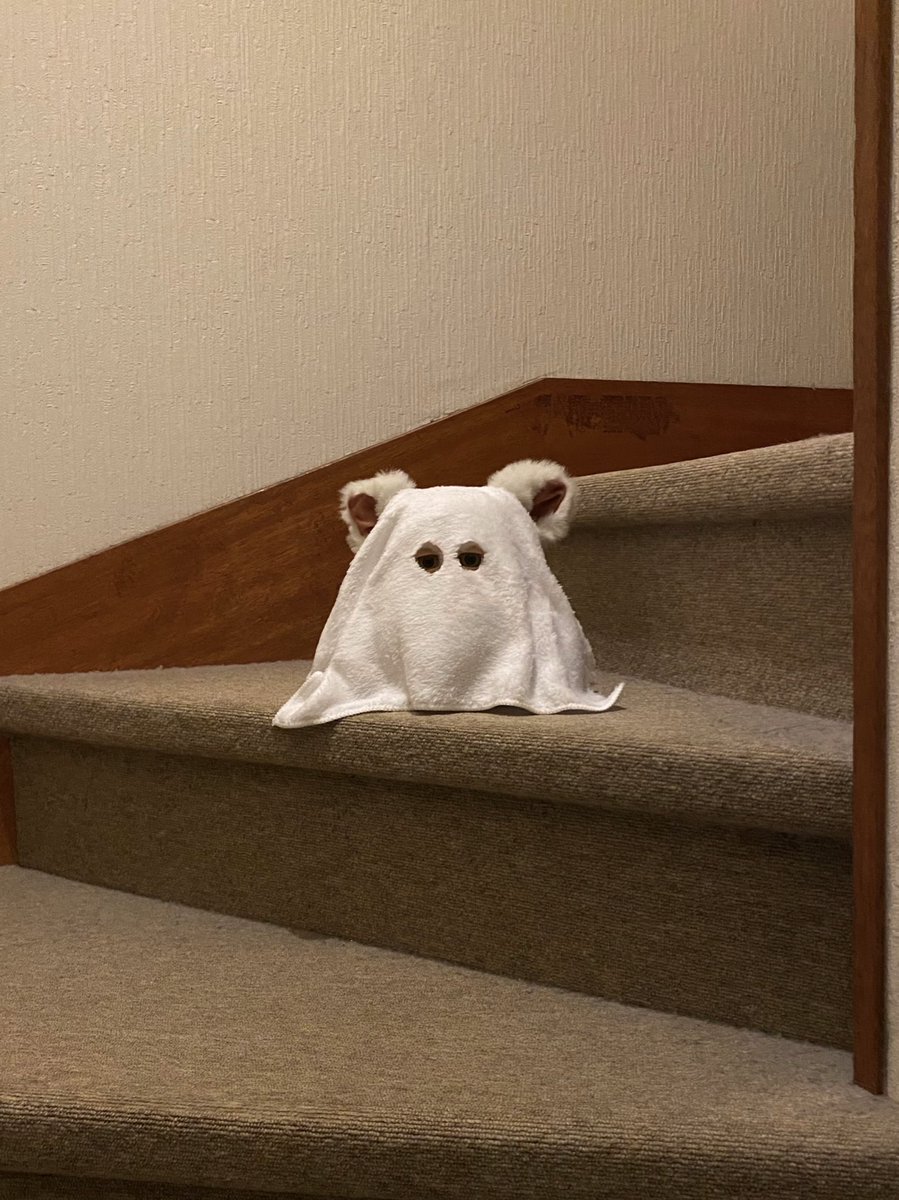 furfur_chan's tweet photo. かわいいお化け　階段こわくて降りれない https://t.co/SRFnFnjKTN