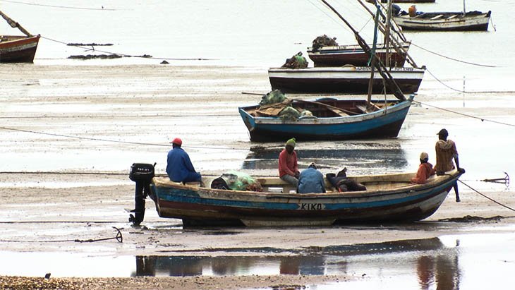 opaisonline's tweet photo. Sociedade
Inicia hoje a proibição da captura do camarão e do caranguejo
#capturadecamarao #caranguejo #mimaip #opaisonline #opais #gruposoico
https://t.co/HL2lyhCL9q https://t.co/ksGVPnMXUP