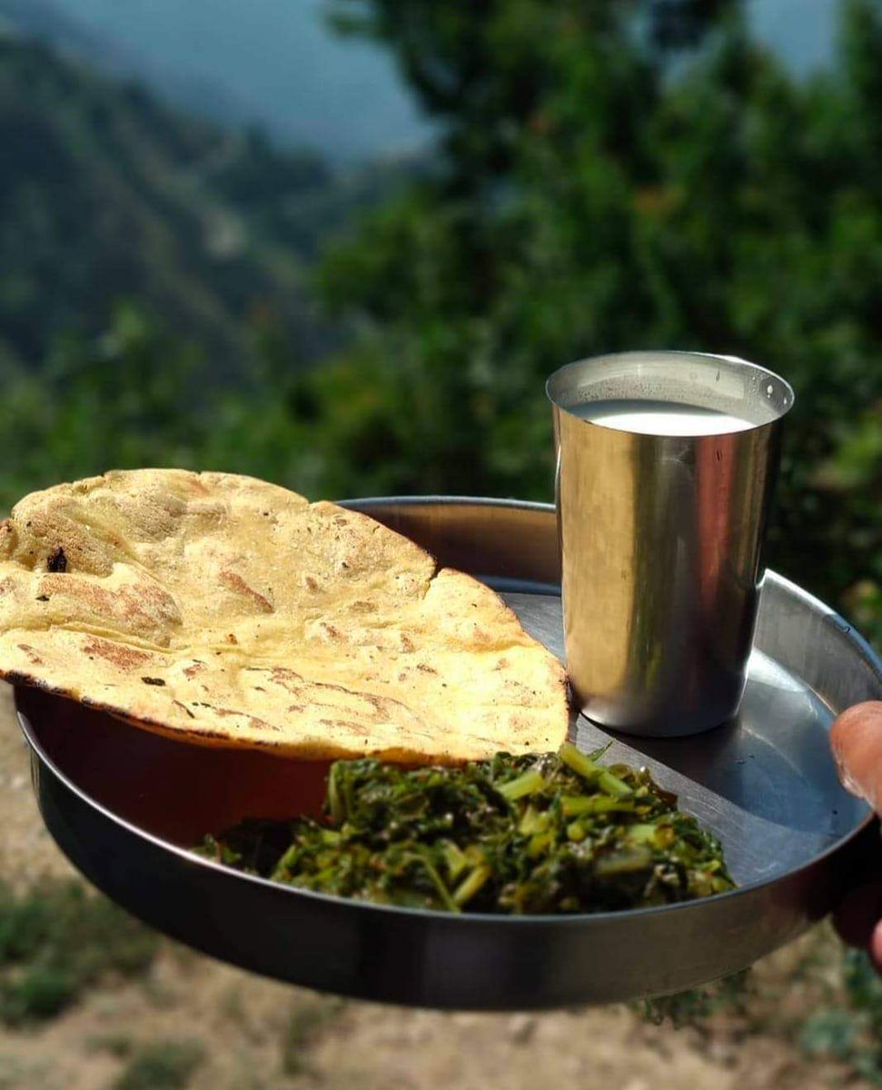 pogalizuban's tweet photo. #Pogali (#poguli) #Culture & #food.
#pogali_zuban_hmari_pachan
#پوگلی_زبان_ہماری_پہچان
Makee ke rotee sarsoon ka saag ta lasee .
#Pahari_culture @Paharis_DRK @MSRpogali @project_pahari @RBtour_travels https://t.co/hMXW842i1w
