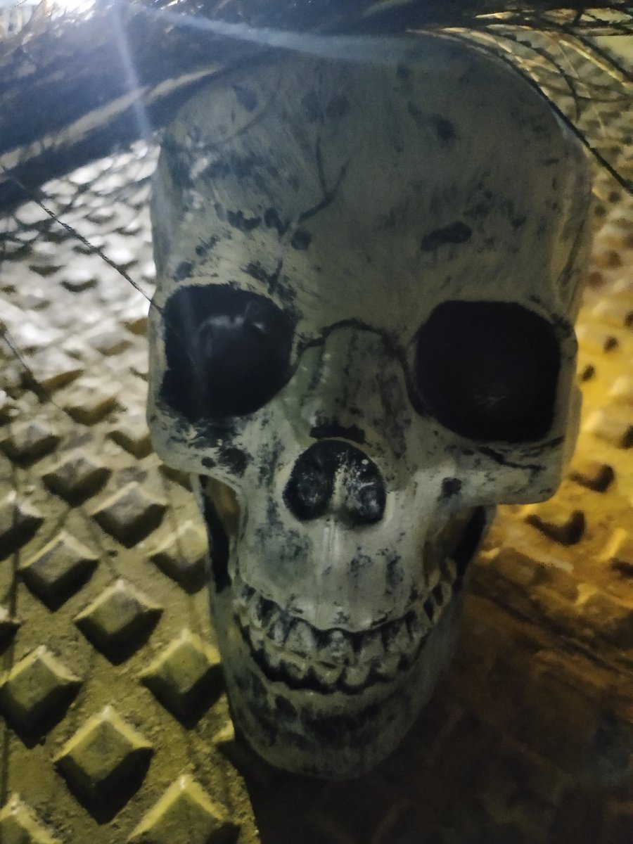 che10_4u's tweet photo. IT’S HALLOWEEN;
EVERYONE’S ENTITLED
TO ONE GOOD SCARE.
I LOVE HALLOWEEN,
AND I LOVE THAT FEELING:
THE COLD AIR,
THE SPOOKY DANGERS LURKING AROUND THE CORNER.
#Halloween2021
#HorrorForReal
#Scary
#OctoberEnd
#SpookyScarySunday https://t.co/u8pEihe2gR