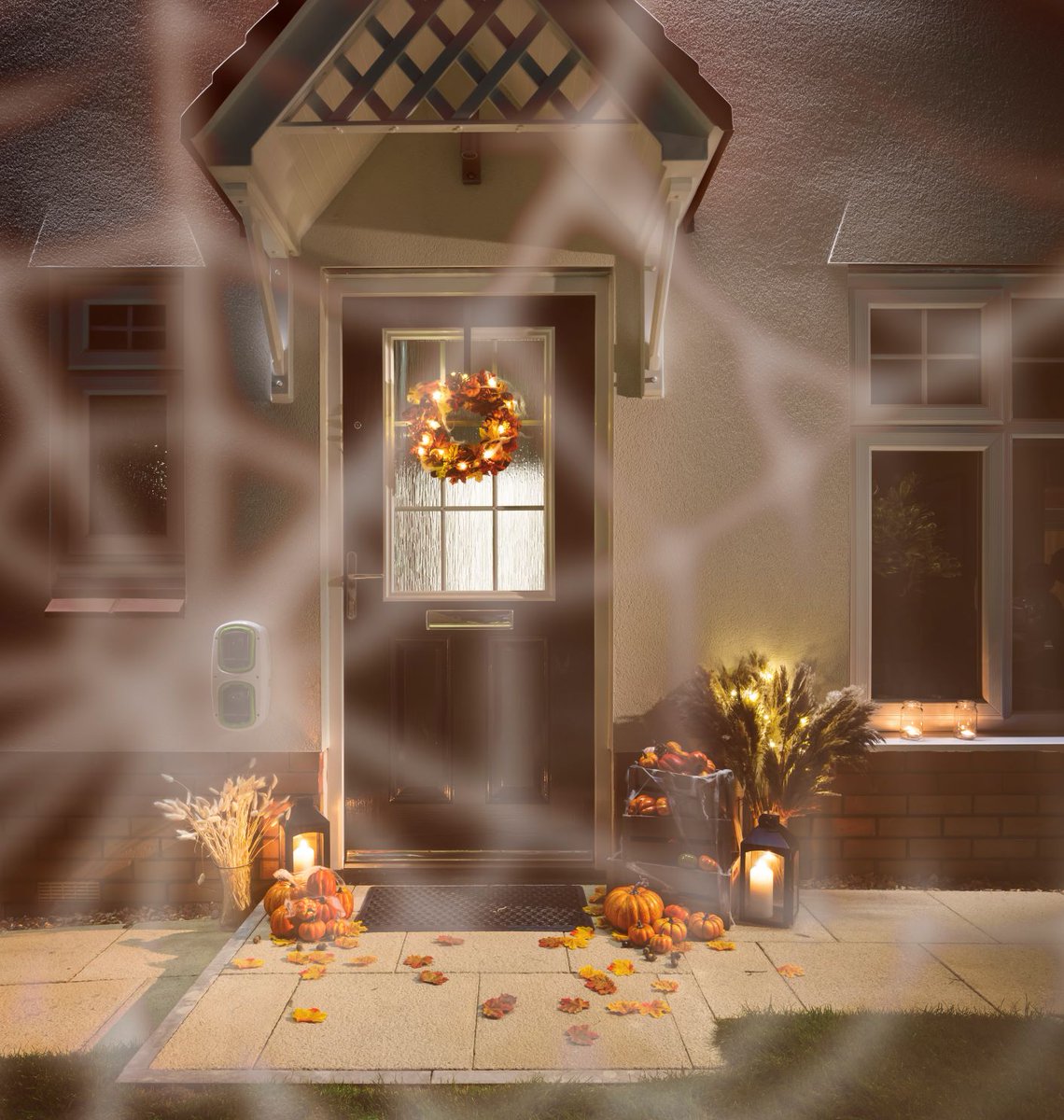 Countryside_NW's tweet photo. Happy Halloween! We hope you have a spooktacular day! 🎃🕷️ https://t.co/5YypL2sKif https://t.co/iJCwlYbuZG