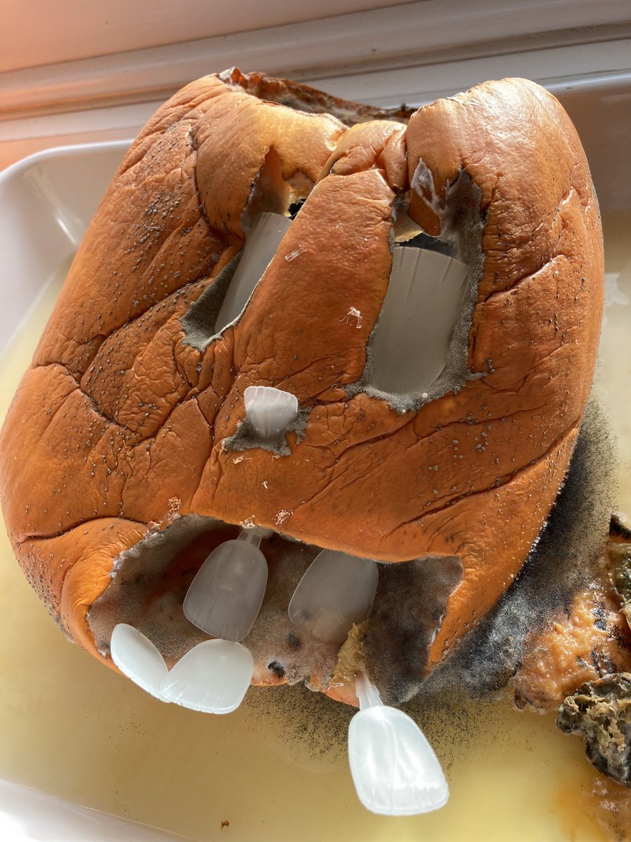 AlisonMossCI's tweet photo. It gets worse - all those mould spores …😱🤮 #pumpkinhorror https://t.co/WAnkKwKIEu