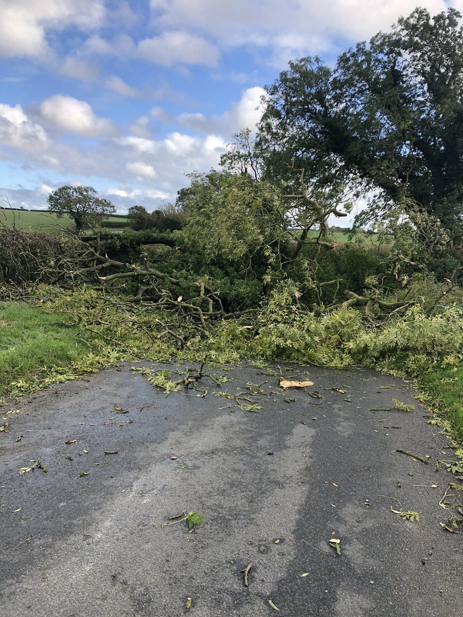 Tony Smith tweet media