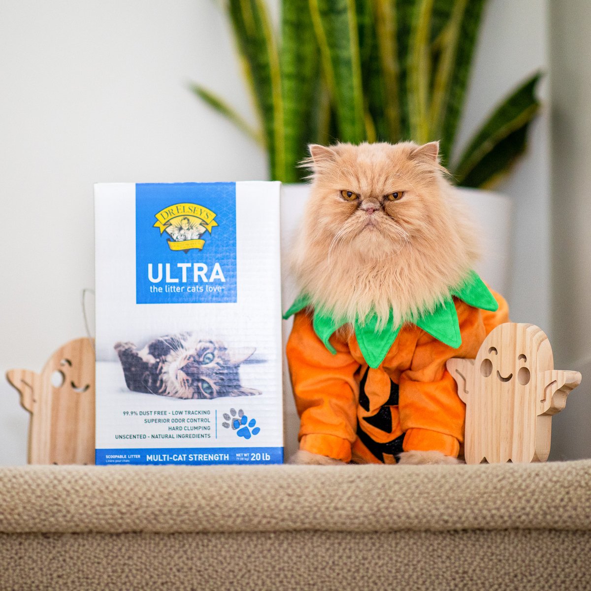 There’s no better treat this #Halloween than the superior odor control of Ultra litter, just ask <a href="/Floyd_TheLion/">Floyd The Lion 🦁</a>! 🎃

Shop now: bit.ly/Ultra-Litter