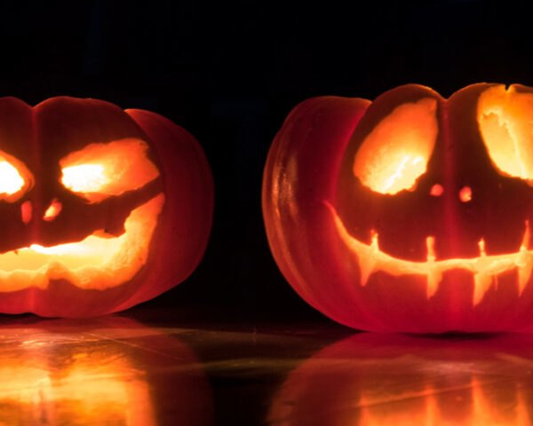 Home Farm Stoves tweet media