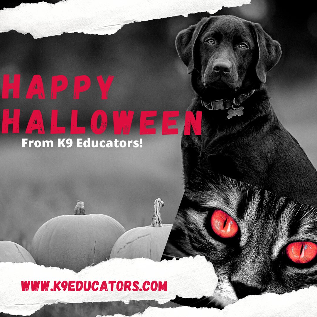 K9FirstAid_CPR's tweet image. Keep your pets safe from toxic candy! Learn K9 FirstAid and CPR at K9educators.com
#halloween #dogs #k9firstaidandcpr #k9educators