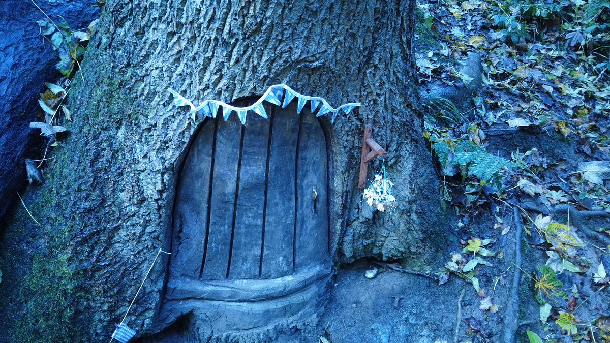 chambsesf's tweet image. Sunday morning stroll through Borsdane Woods #DJIpocket