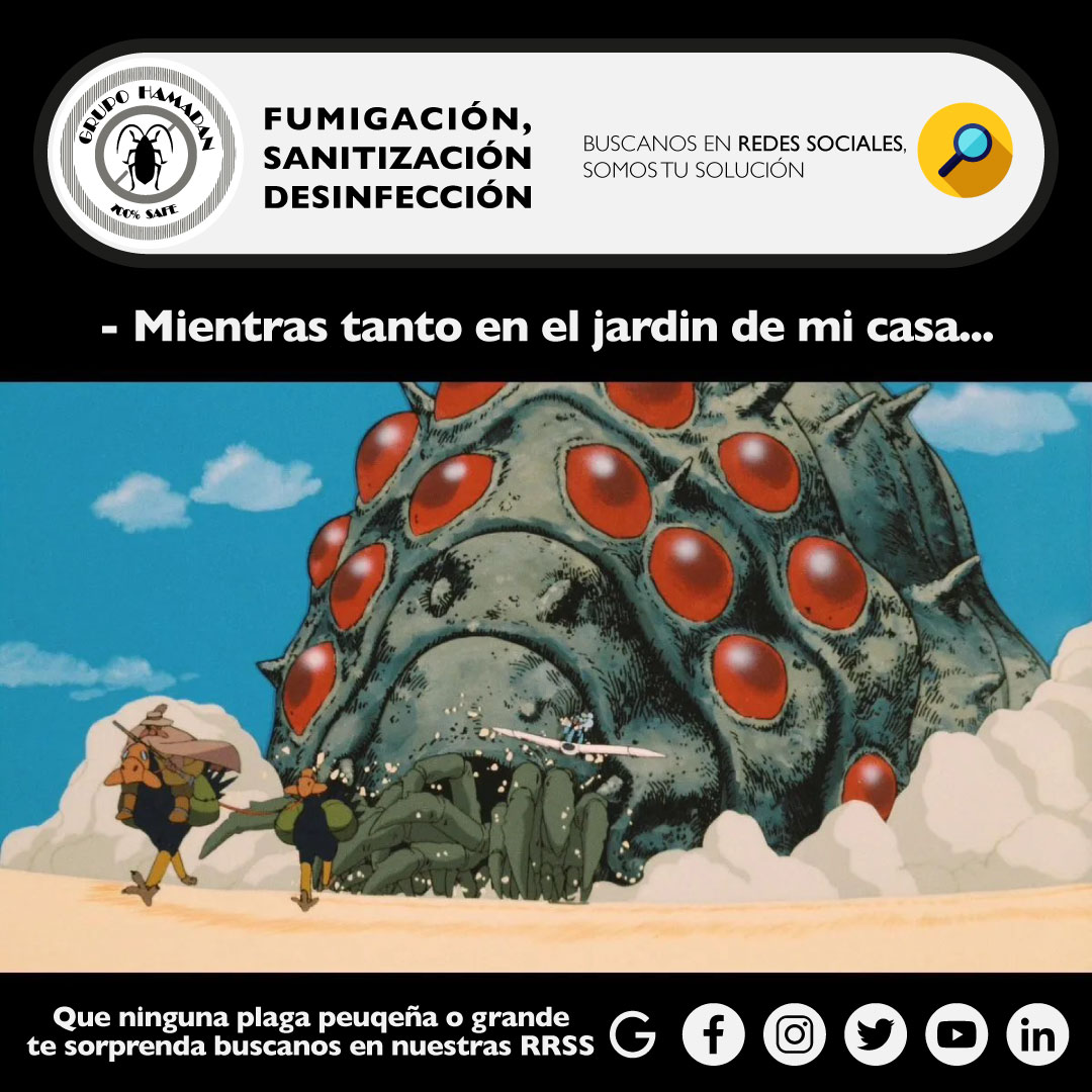 HamadanCv's tweet image. Cada que realizamos un servicio, brindamos a nuestros clientes un CERTIFICADO DE 30 DÍAS, el cual es una garantía de nuestros excelentes servicios de fumigación. ¡Contáctanos y compruébalo!

#GrupoHamadan #ControlDePlagas #fumigadora #sanitizacion #desinfeccion #fumigacion