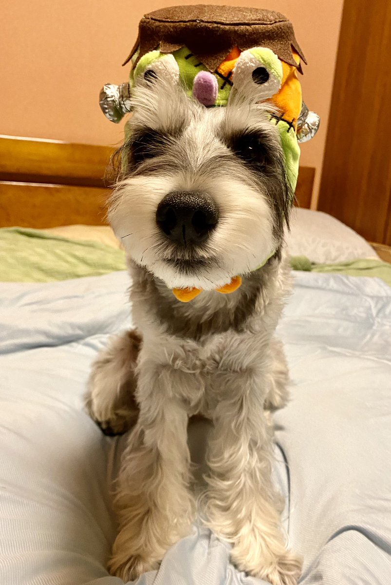 ハッピーハロウィン🎃🎃 