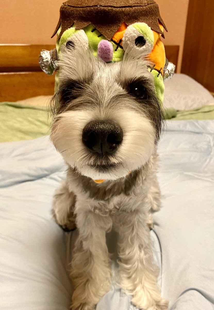 ハッピーハロウィン🎃🎃 