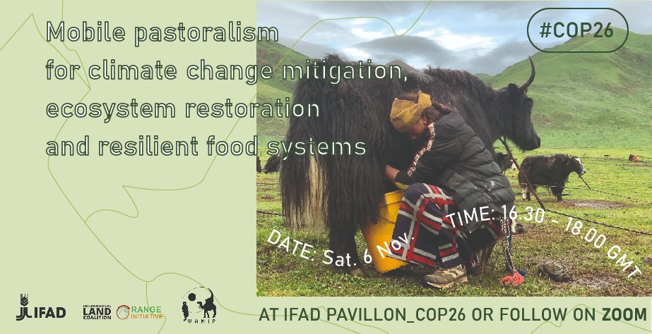 RI is at the #COP26 with <a href="/IFAD/">International Fund for Agricultural Development</a> and pastoralists from across the globe to share their wisdom of sustainable rangelands use while keeping resilient food systems and how they can be part of the solution to the challenges we face #livestock #climatecrisis rangelandsinitiative.org/blog/rangeland…