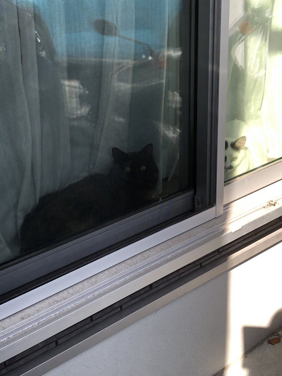 じんじん Jinjin84 Twitter