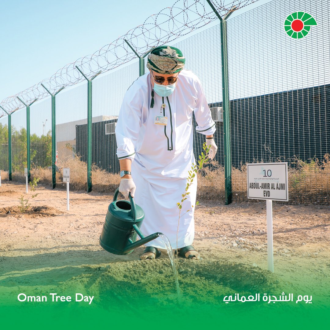 PDO_OM's tweet photo. #PDO has planted more than 9,000 trees in 2021 as part of its efforts to preserve the environment and its commitment to the National Initiative for Planation of 10 Million Trees, which was launched in January 2020.

#OmanTreeDay https://t.co/VGg1XKrqou