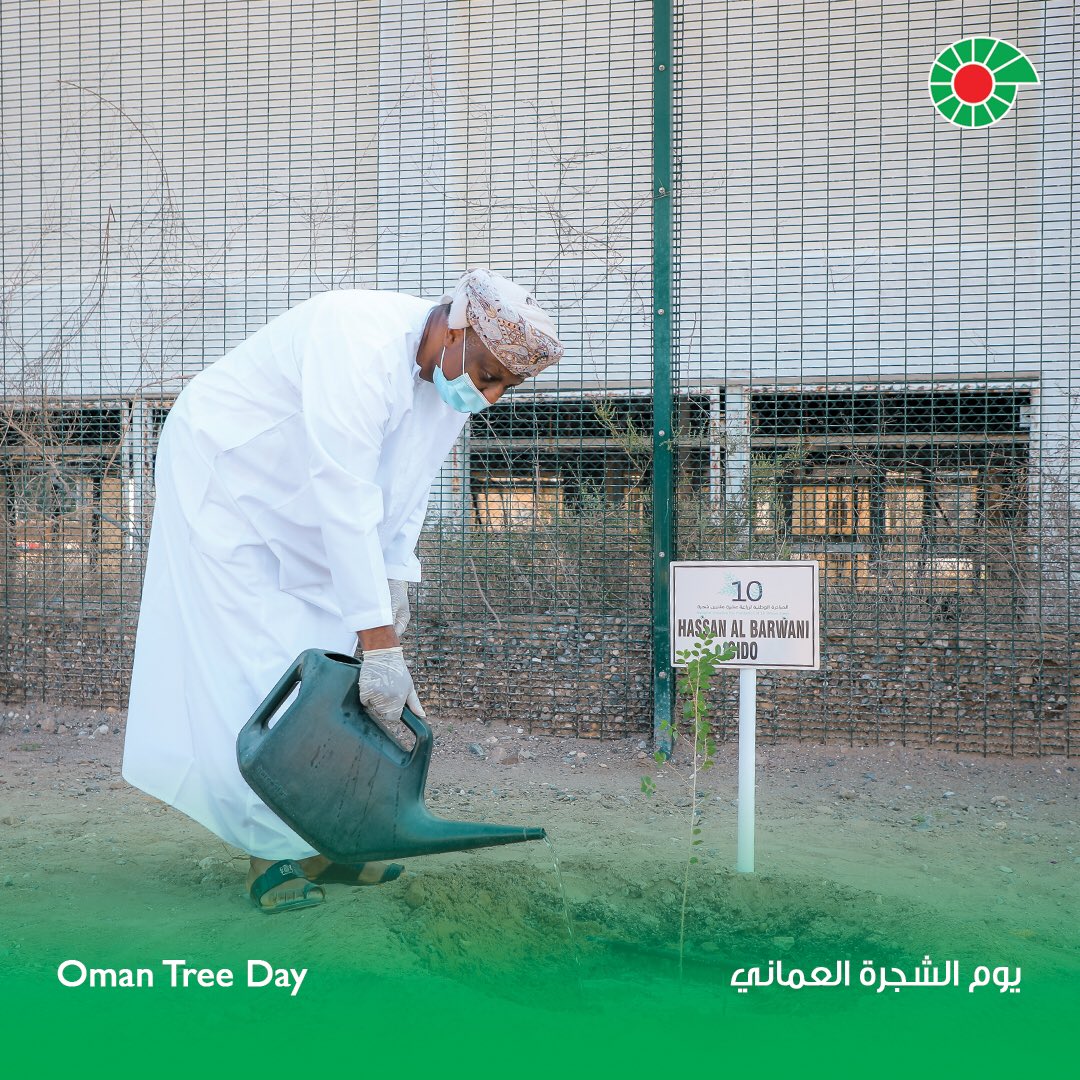 PDO_OM's tweet photo. #PDO has planted more than 9,000 trees in 2021 as part of its efforts to preserve the environment and its commitment to the National Initiative for Planation of 10 Million Trees, which was launched in January 2020.

#OmanTreeDay https://t.co/VGg1XKrqou