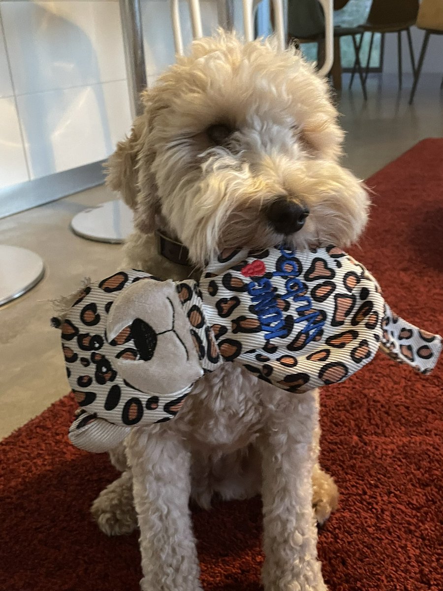 leinmaxemsam's tweet photo. @DaalSanne @AndSimonSaid Hier nog zo’n lief Loetje! Veel geluk met elkaar 🍀 https://t.co/aKQ0V4U84z
