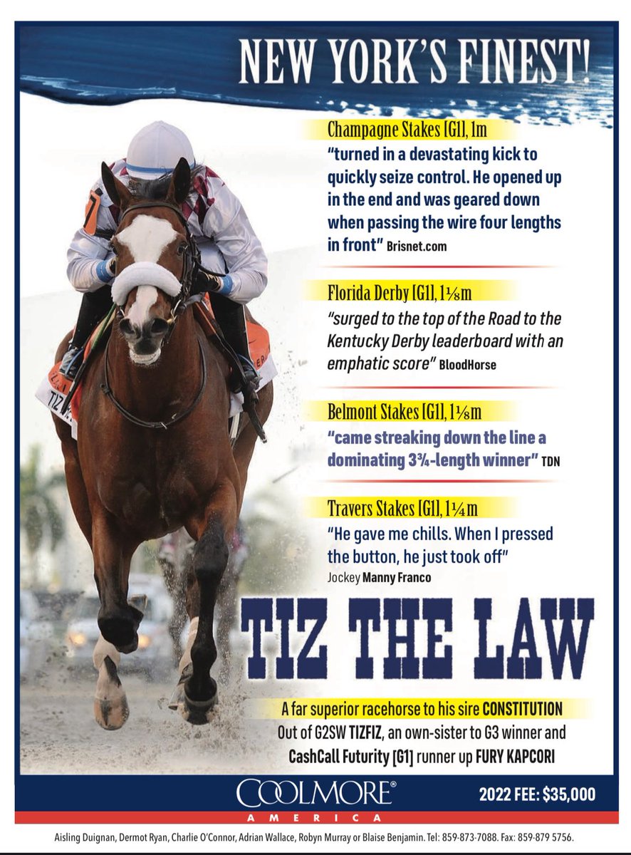 theTDN's tweet photo. Tiz the Law, winner of the GI Champagne S., the GI Florida Derby, the GI Belmont S., and the GI Travers S., stands at @coolmoreamerica. https://t.co/vybzRwNMNN