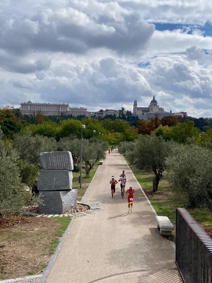 estaniscuevas's tweet photo. Volveremos!
#halfmadrid
🏊🚴🏃 https://t.co/49YS3zTC6i