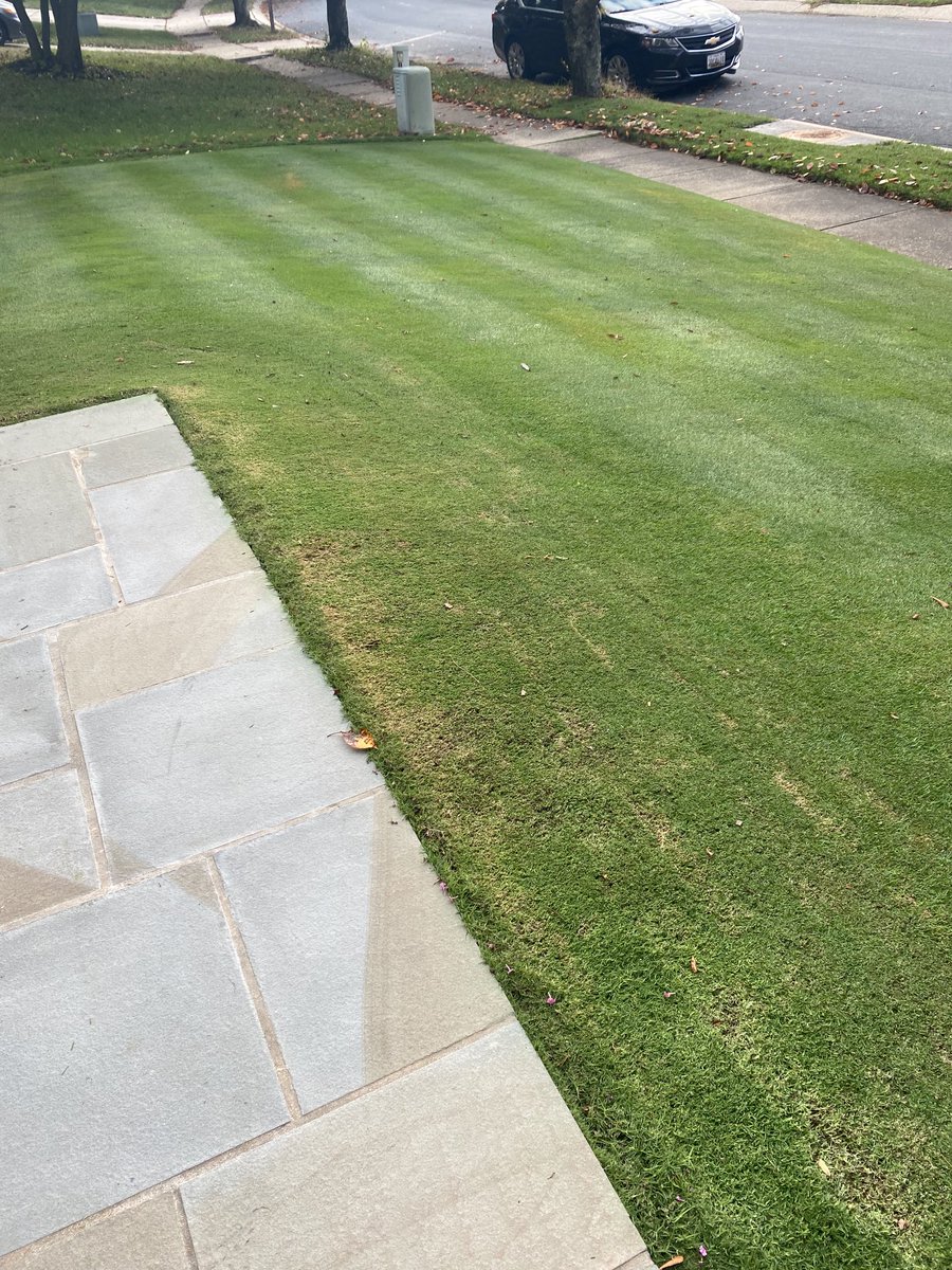 Traditional Halloween cut done and already for Trick or Treaters.