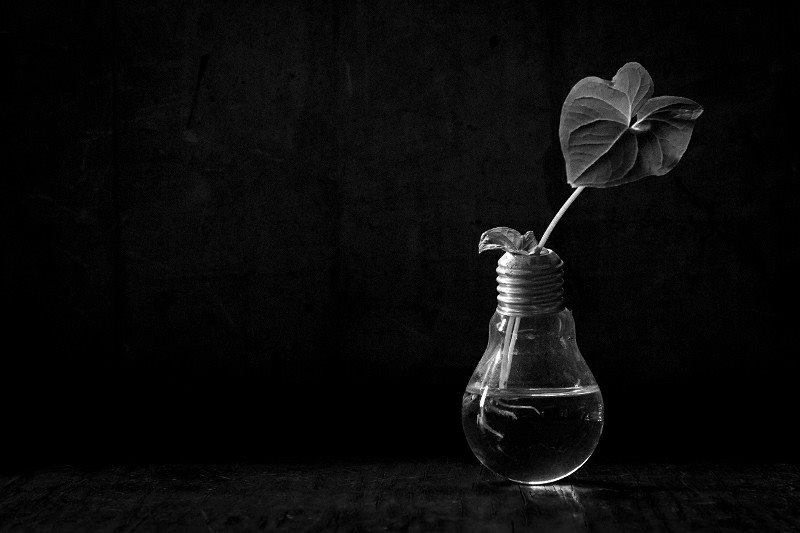 literlandweb1's tweet photo. "Que cada uno cumpla con su propio destino,
reconozca sus pozos,
riegue sus propias plantas
y levante su casa.
Pero si sobre el final cae en la cuenta
de que ha errado el camino,
entonces que junte coraje,
desande lo andado
y reconstruya su vida".

Hamlet Lima Quintana https://t.co/YWoHgYwFNH