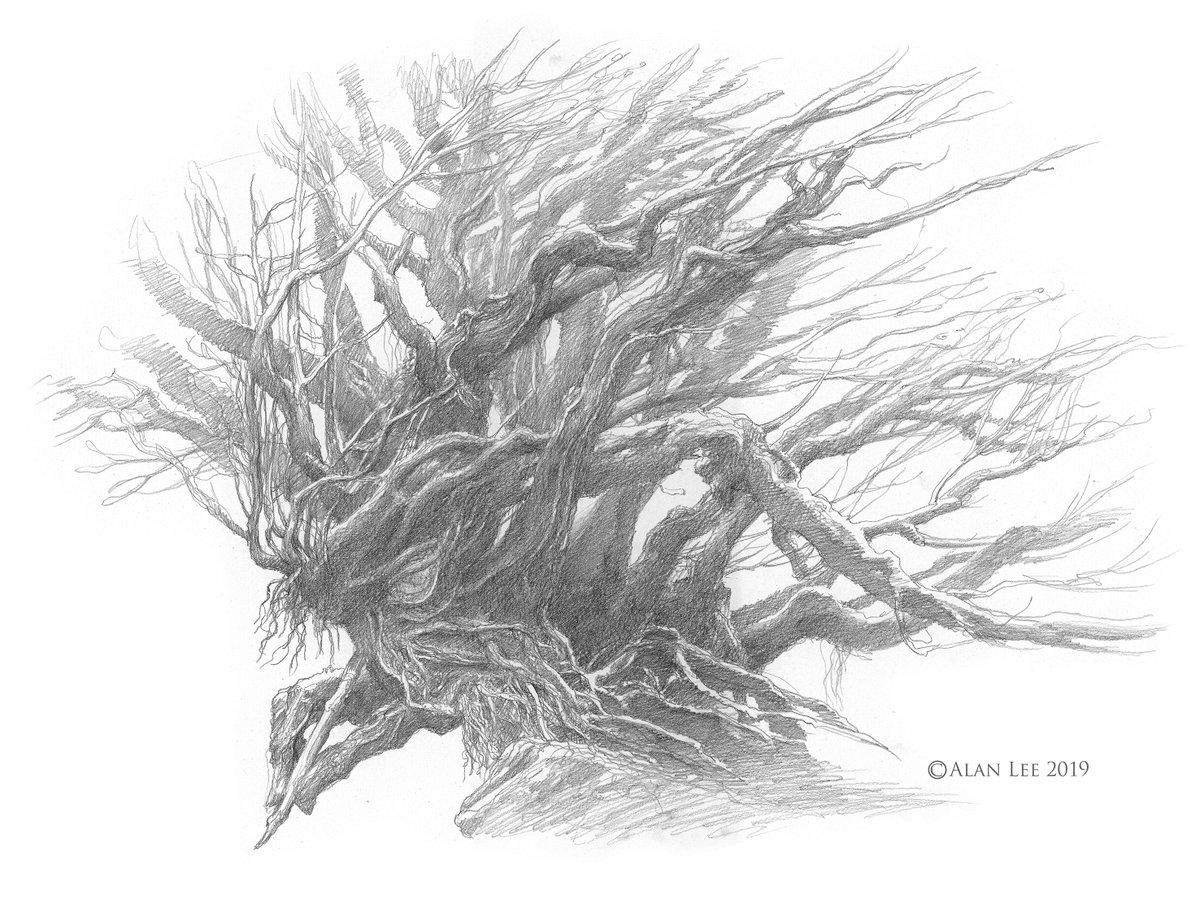 A message from the Wild ...