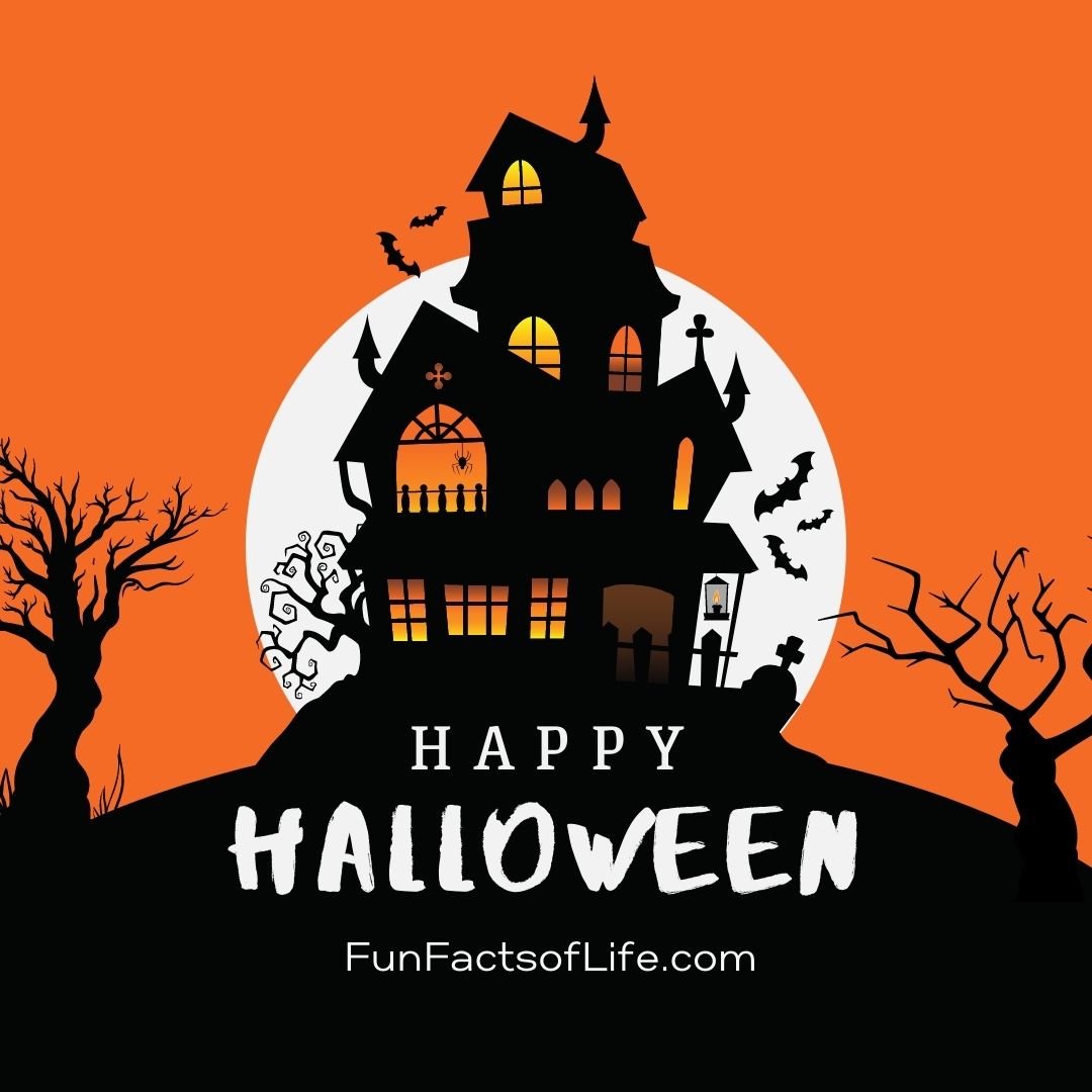 ArthurFFOL's tweet photo. I witch you a Happy Halloween. 🥳🥳🥳
https://t.co/BKVEPCuv7n?
#AtoZLifeSeries #FunFactsofLife #ffol #relationship #love #relationshipgoals #makeuptips #beauty #beautytips #coffeelover #fashion https://t.co/iCTj47l0mo