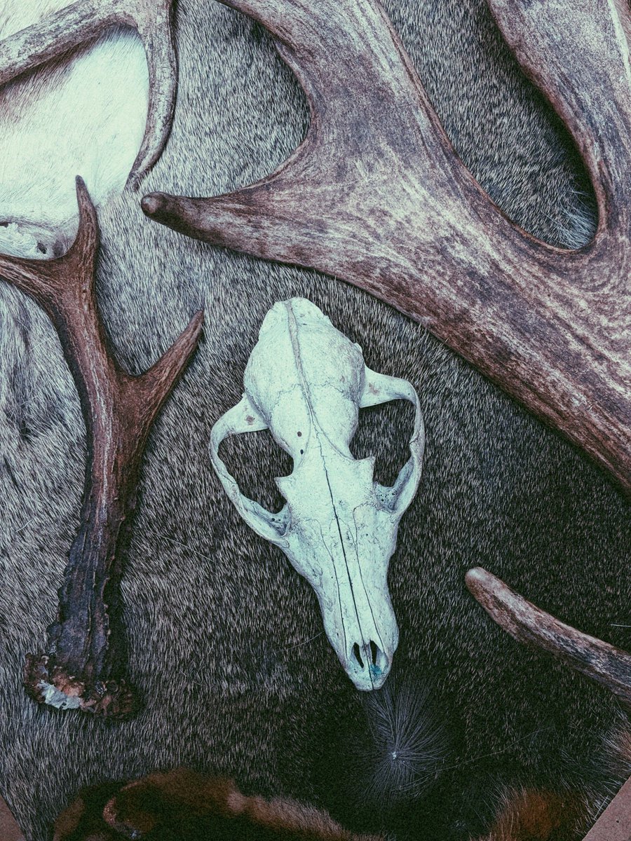 BoAusten's tweet photo. What remains...      #halloween2021 #Halloweenart https://t.co/5PafCE3JHU
