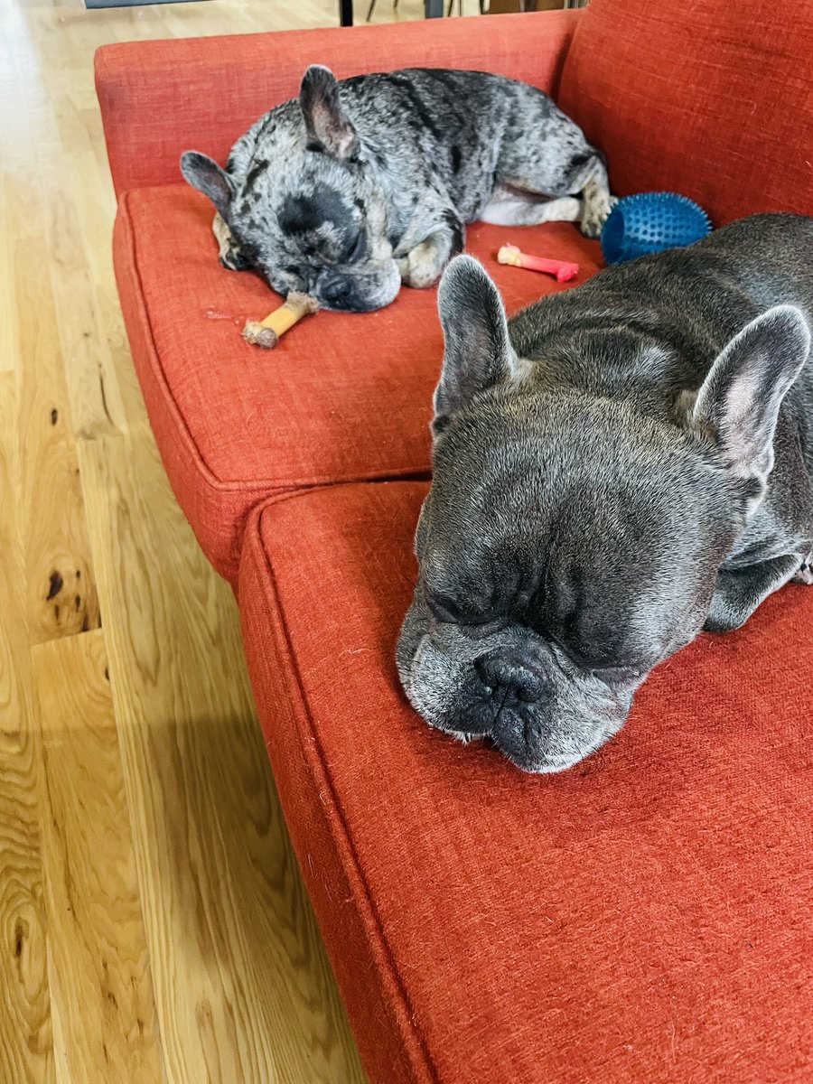 Chemistophe's tweet photo. I wish everyone a relaxing Sunday like Porkchop and Peanut!

Tomorrow I have a big announcement about my new job #FirstDayAtWork #NewLifeChapter https://t.co/Yf0EIYUdqZ