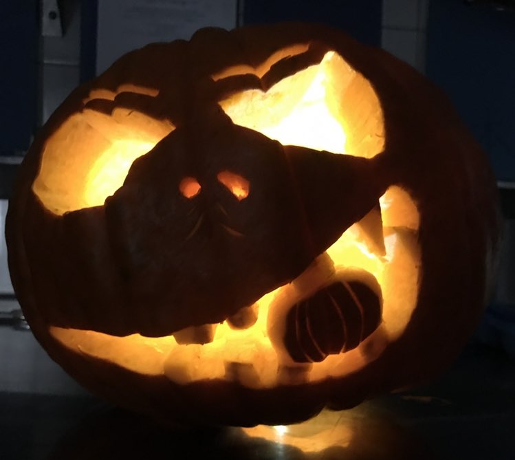 senri_up's tweet photo. Happy Halloween🎃
ということで、
いつしかのハロウィンで作ったこの子を載せてみます✨🎃
皆様良いハロウィンを✨💕 https://t.co/va1RM4SODr