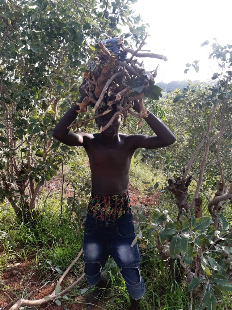 Secka200 (@secka200) on Twitter photo 