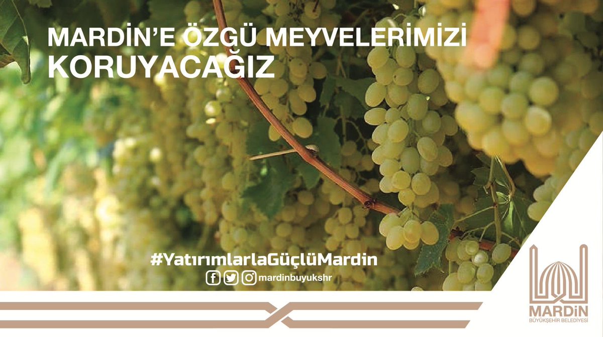 MardinBuyukshr's tweet photo. #YatırımlarlaGüçlüMardin

@mahmutdemirttas https://t.co/S1kg3PRCyZ