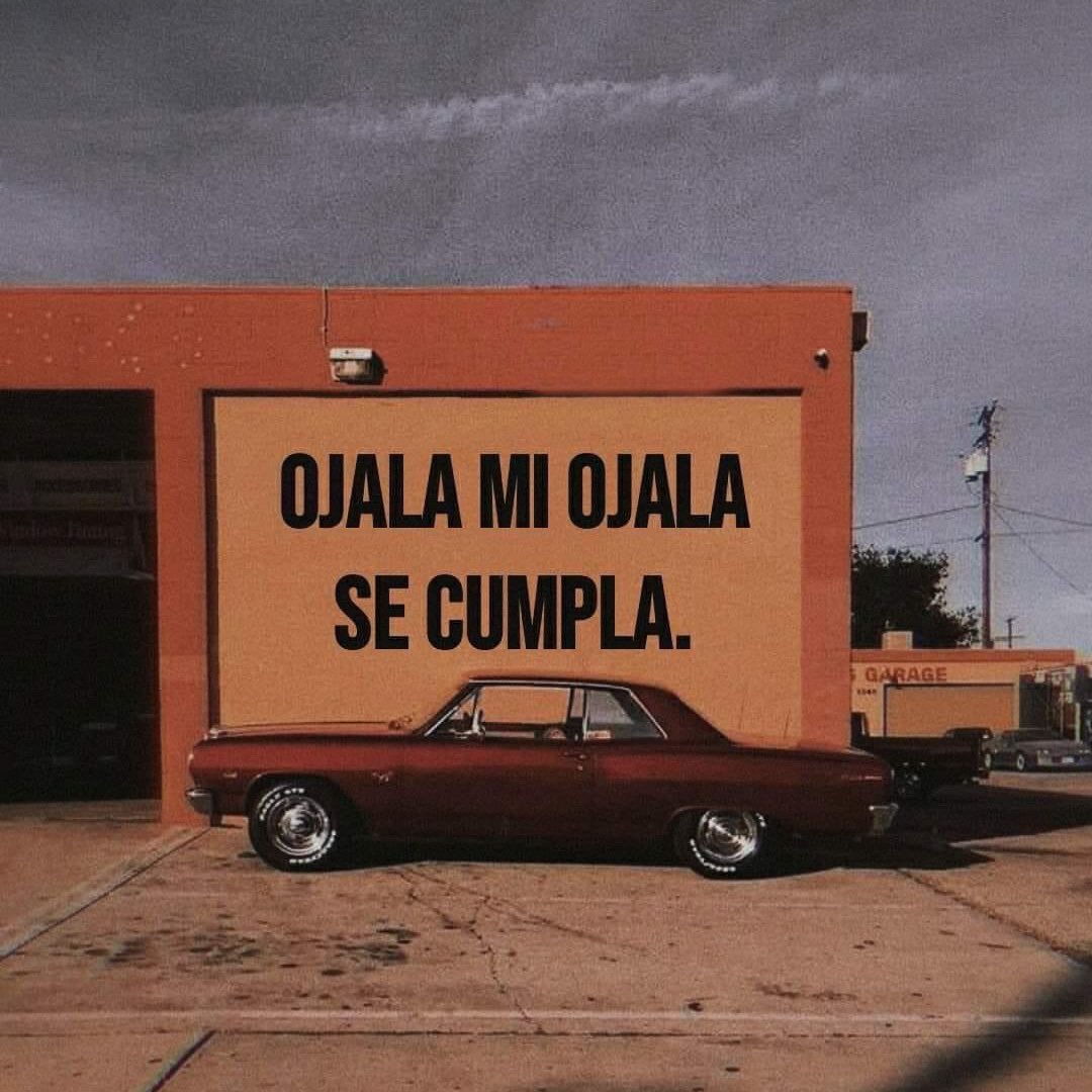 azucenau's tweet photo. #BuenDomingo 

(Y que los suyos también 👇🏻🧡) https://t.co/5hg4e0By9H