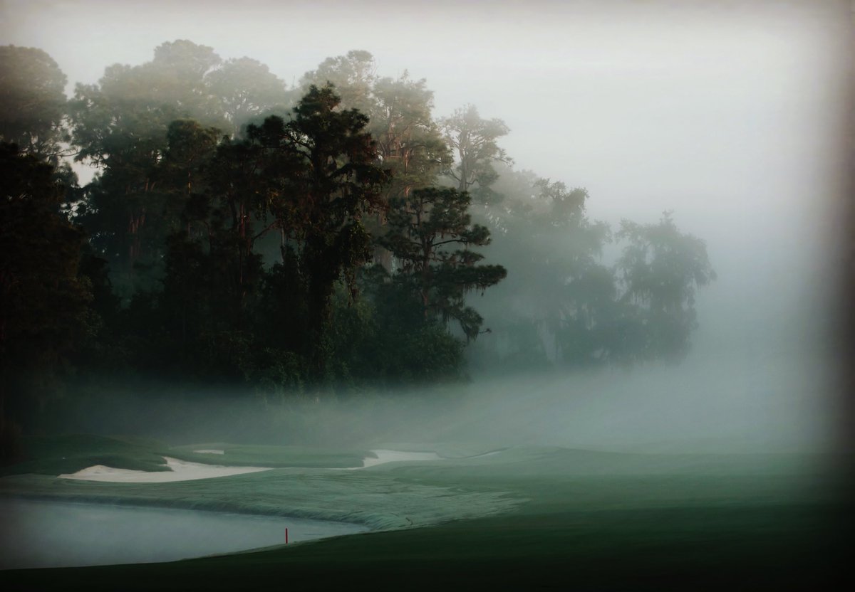 The Concession tweet media