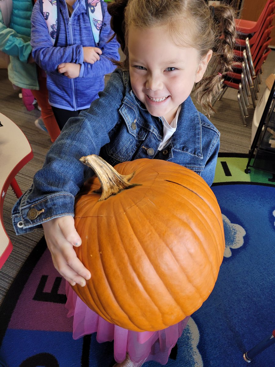 JenKoziolek's tweet photo. Friday was #PumpkinDay in #K2! We counted the number of seeds by putting them into groups of 10. Our pumpkin had 507 seeds! AND DID YOU KNOW PUMKINS FLOAT!?!? We ended our fun with a fall party and enjoyed games, treats, and giggles!
#McKinleyStrong
#OwatonnaProud
#HarvestParty https://t.co/zrTuNxDtim